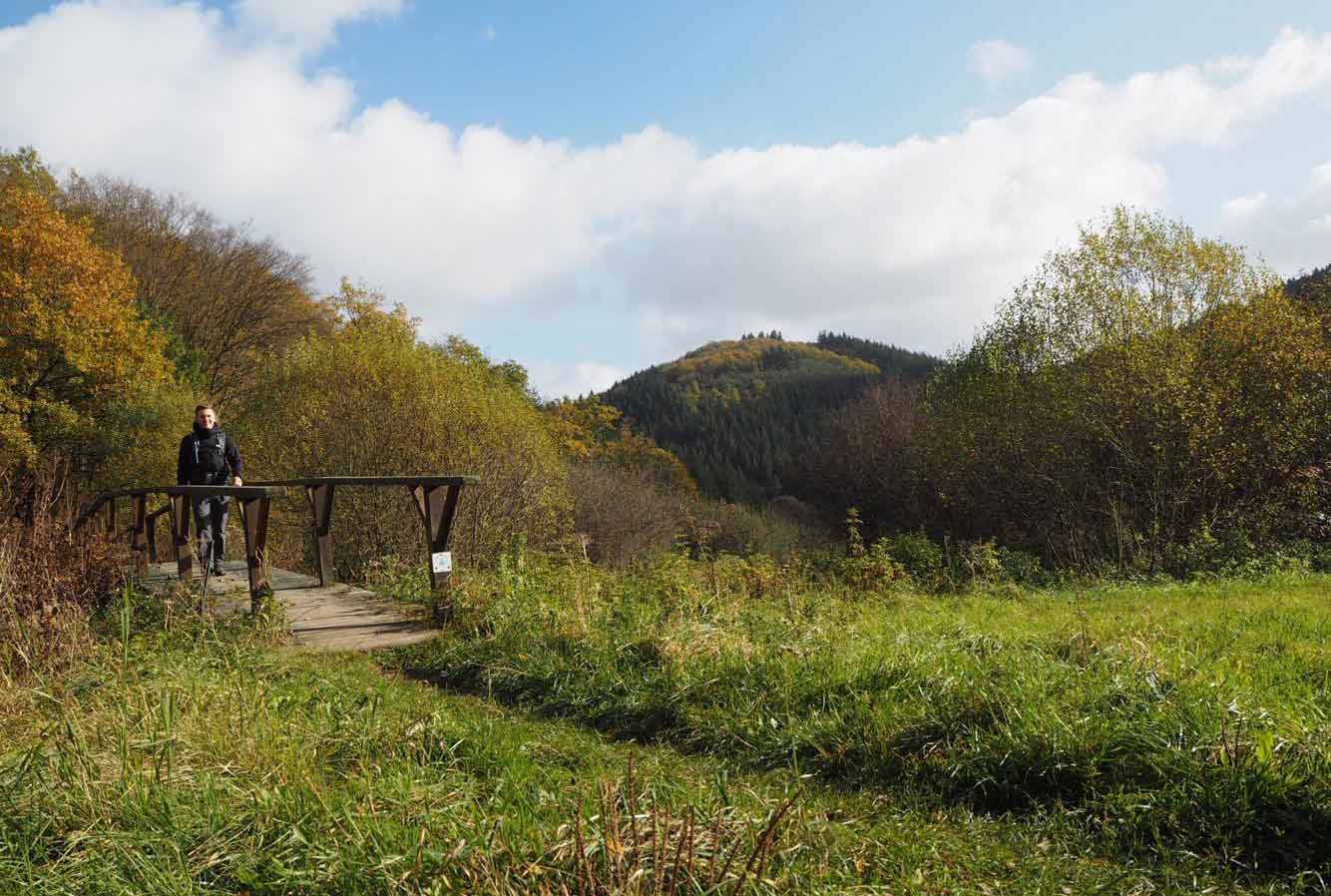 Wandern-Sahrbachtal-outzeitblog-trekkinglife-2