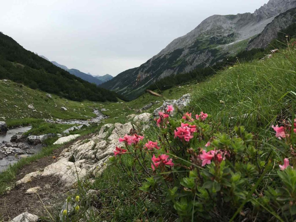 lechweg-wandern-in-den-alpen-01