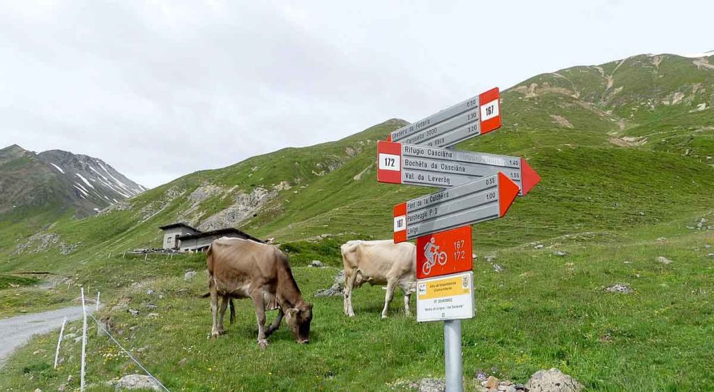 Livigno-Beschilderung-Wanderwege-wandern-in-den-alpen