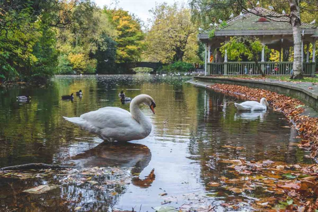 Dublin Sehenswürdigkeiten Park Stephens Green