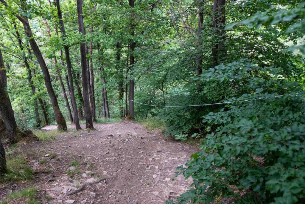 Alpiner Abstieg auf dem Natursteig Sieg