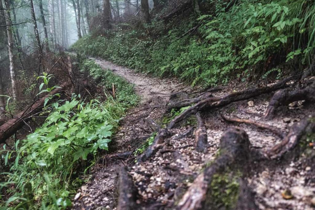 Jägersteig an der Grießbachklamm