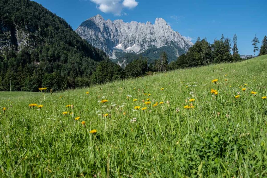 Wilder Kaiser - Panorama auf der dritten Etappe des Koasa Trails