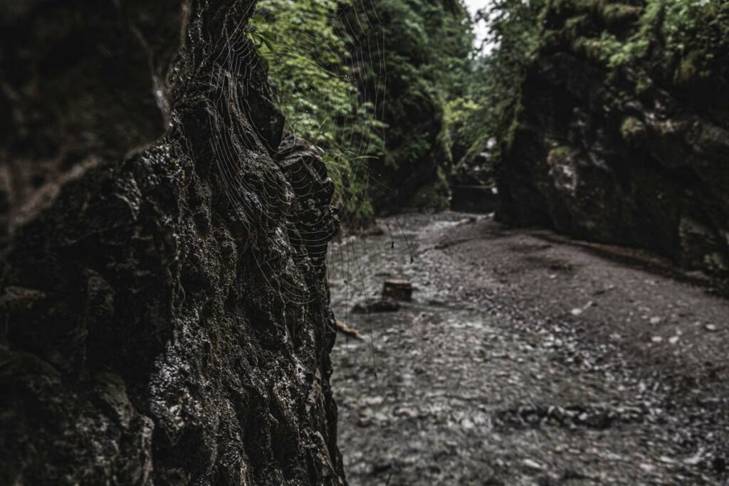 Spinnennetz in der Grießbachklamm